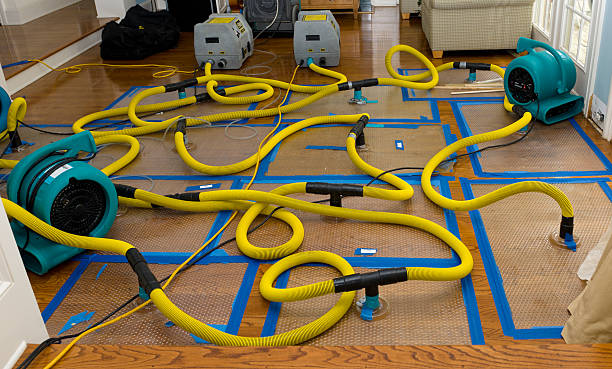 Professional Water Damage Repair technician working in Foster, RI